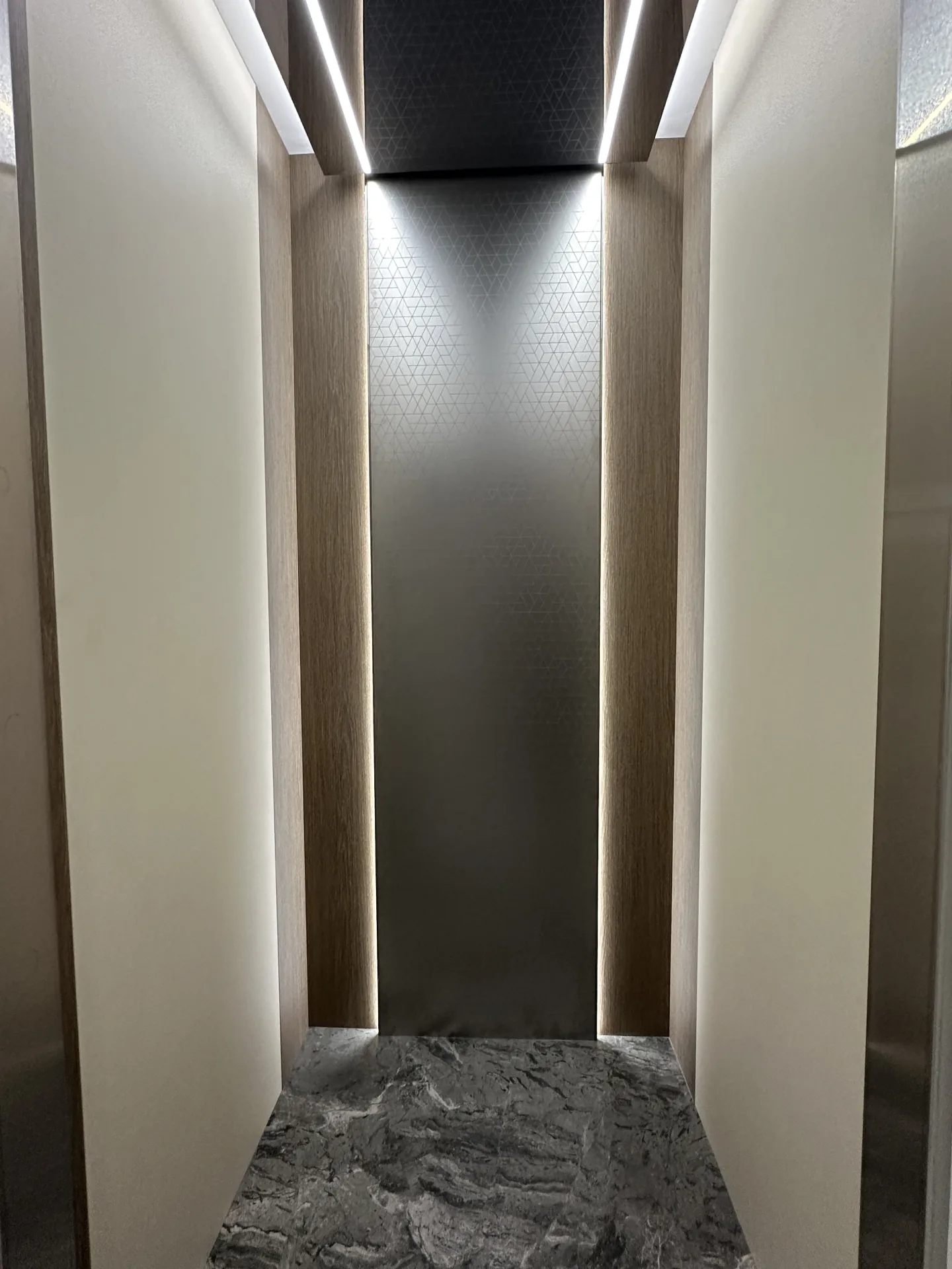 Static cabin finish display with a textured metallic back panel and linear lighting